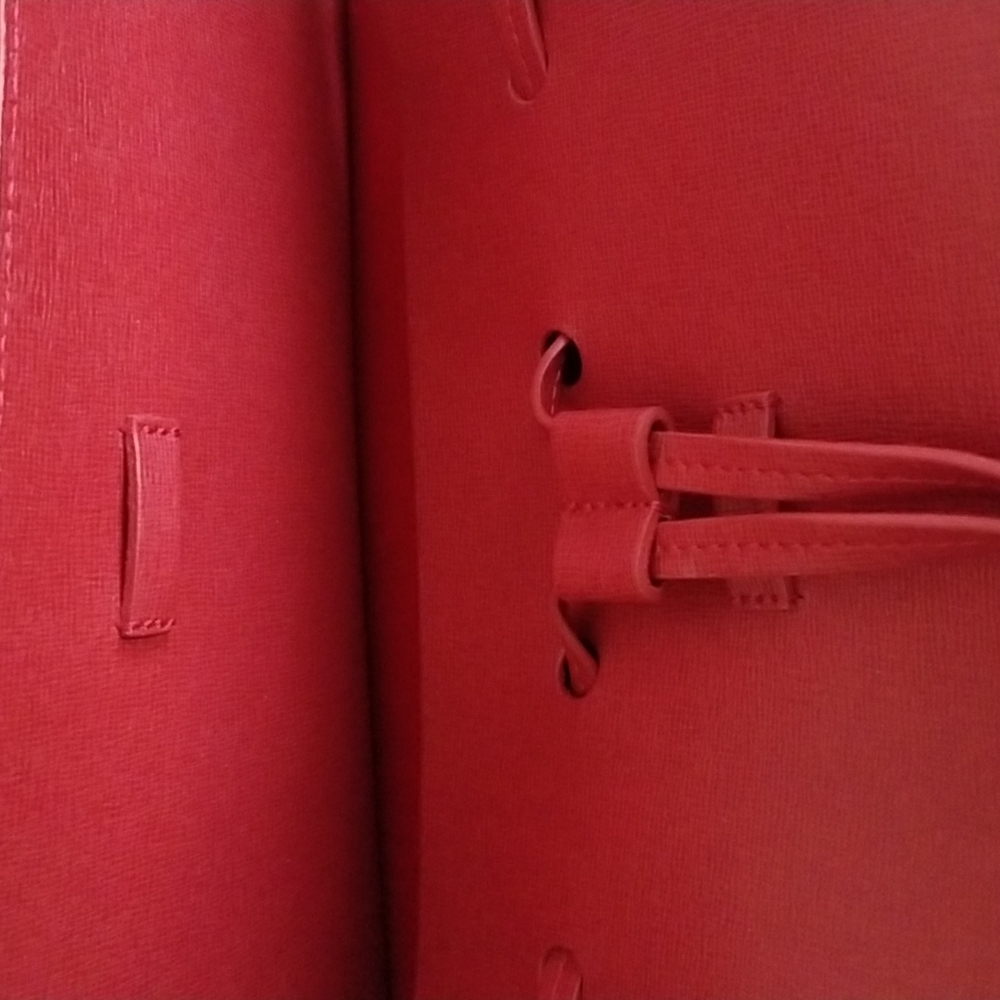 New Mansur Gavriel Mini Lady (Large) Satchel Bag - Picture 9 of 10